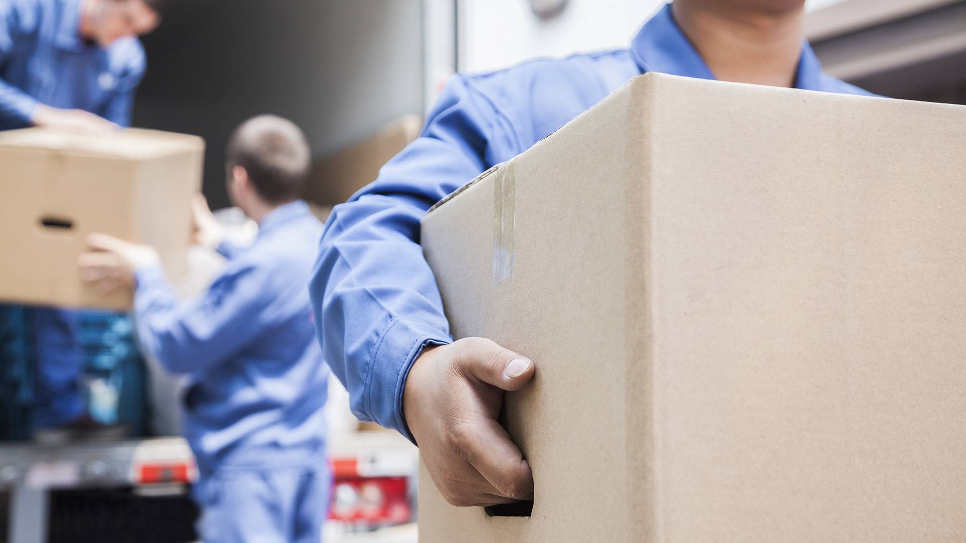 Langley Moving Company Moving And Storage Solutions